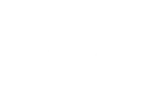 devial case
